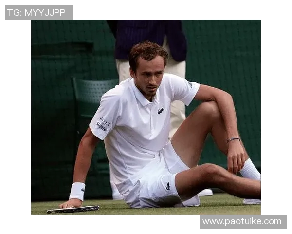 汉达诺维奇公开批评裁判,认为比赛结果受到不公平影响 汉达诺维奇公开批评裁判,认为比赛结果受到不公平影响