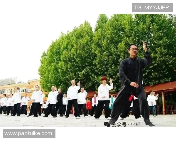 探索上海太极拳馆的传统魅力与现代传承之路 探索上海太极拳馆的传统魅力与现代传承之路