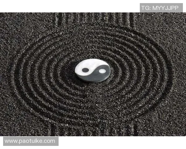 太极拳背景音乐的魅力与选择指南助您提升练习体验与身心和谐